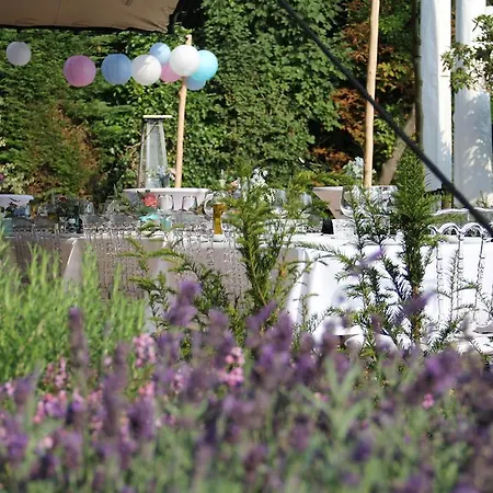 Hotel Het 3*